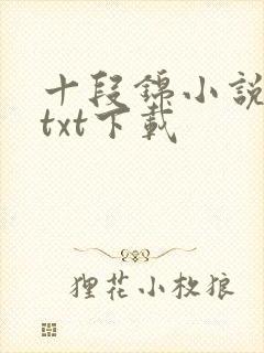 十段锦小说全本txt下载
