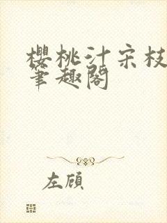 樱桃汁宋枝江野笔趣阁