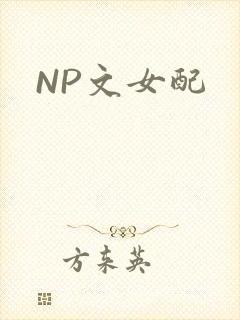 NP文女配