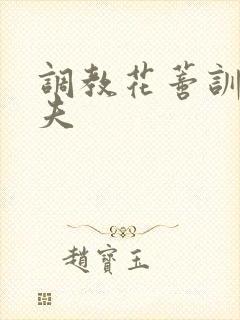 调教花蒂训诫从夫