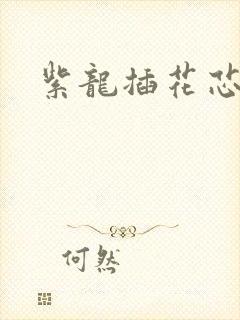 紫龙插花芯封面