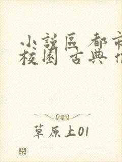 小说区 都市 校园 古典 偷拍