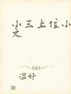 小三上位小说全文