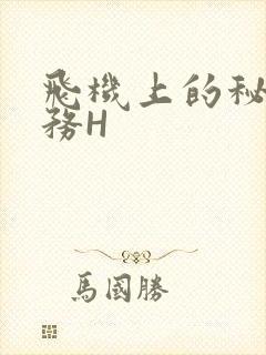 飞机上的秘密服务H封面