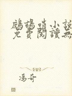 鹧鸪哨小说网站免费阅读无弹窗封面
