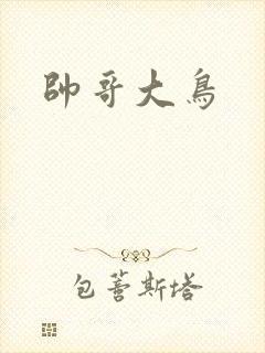 帅哥大鸟