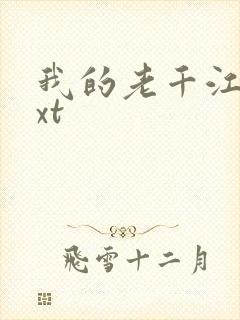 我的老千江湖txt