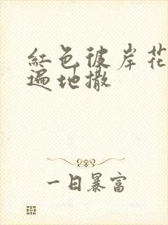 红色彼岸花花瓣遍地撒