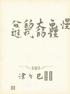 公的大龟慢慢挺进我的体