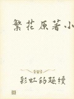 繁花原著小说