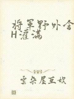 将军野外含公主H灌满