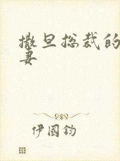 撒旦总裁的下堂妻