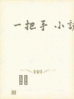 一把手 小说封面