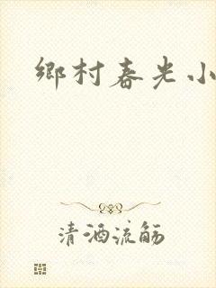 乡村春光小说