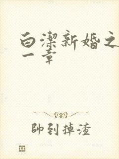白洁新婚之夜第一章封面