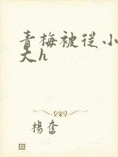 青梅被从小摸到大h封面