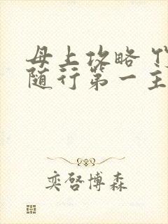 母上攻略 竹影随行第一主板