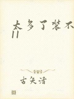 太多了装不下H11