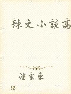 辣文小说高h封面