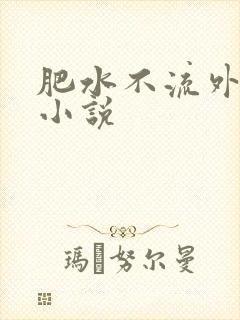 肥水不流外人田小说