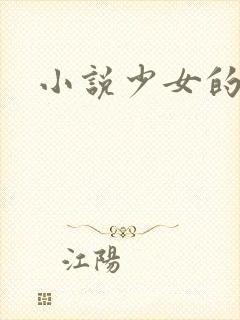 小说少女的心