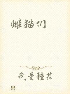 雌猫们