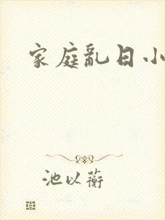 家庭乱日小说