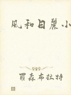 风和日丽小说