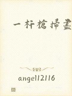 一杆枪扫尽全家封面