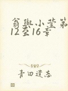 翁与小莹第十部12至16章封面