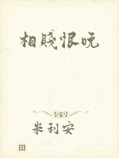 相贱恨晚封面