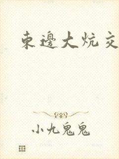 东边大炕交换封面