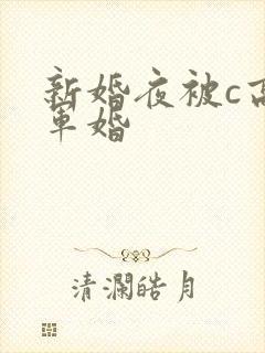 新婚夜被c高h军婚