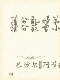 荡公乱妇第1章情公苏雪小说