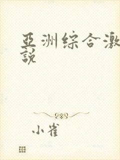 亚洲综合激情小说封面