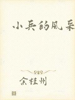 小兵的风采封面