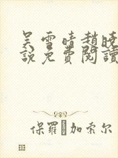 吴雪晴赵晓东小说免费阅读封面