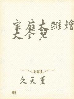 家庭大杂烩小说大全儿封面