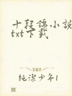 十段锦小说全本txt下载