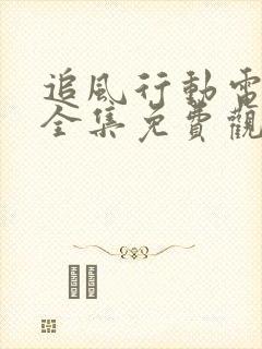 追风行动电视剧全集免费观看