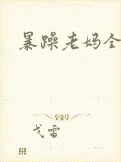 暴躁老妈全集封面