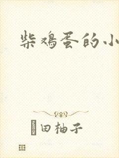 柴鸡蛋的小说