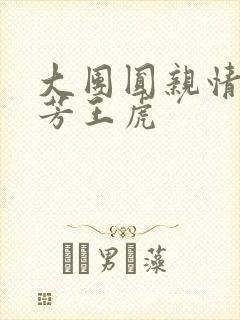 大团圆亲情会王芳王虎封面