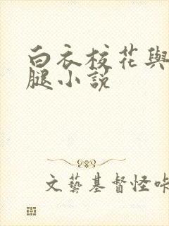 白衣校花与大长腿小说