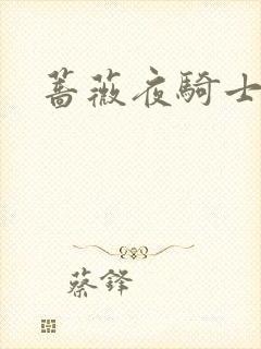 蔷薇夜骑士封面