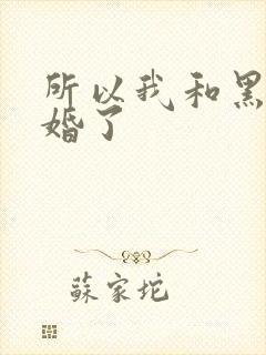 所以我和黑粉结婚了