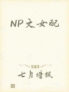 NP文女配