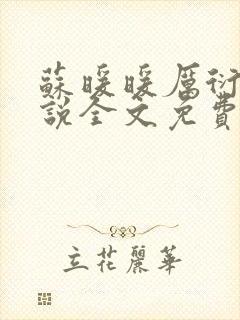 苏暖暖厉衍琛小说全文免费阅读