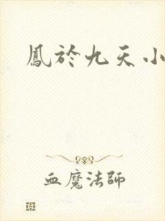 凤于九天小说