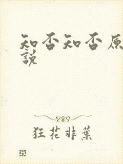知否知否原著小说